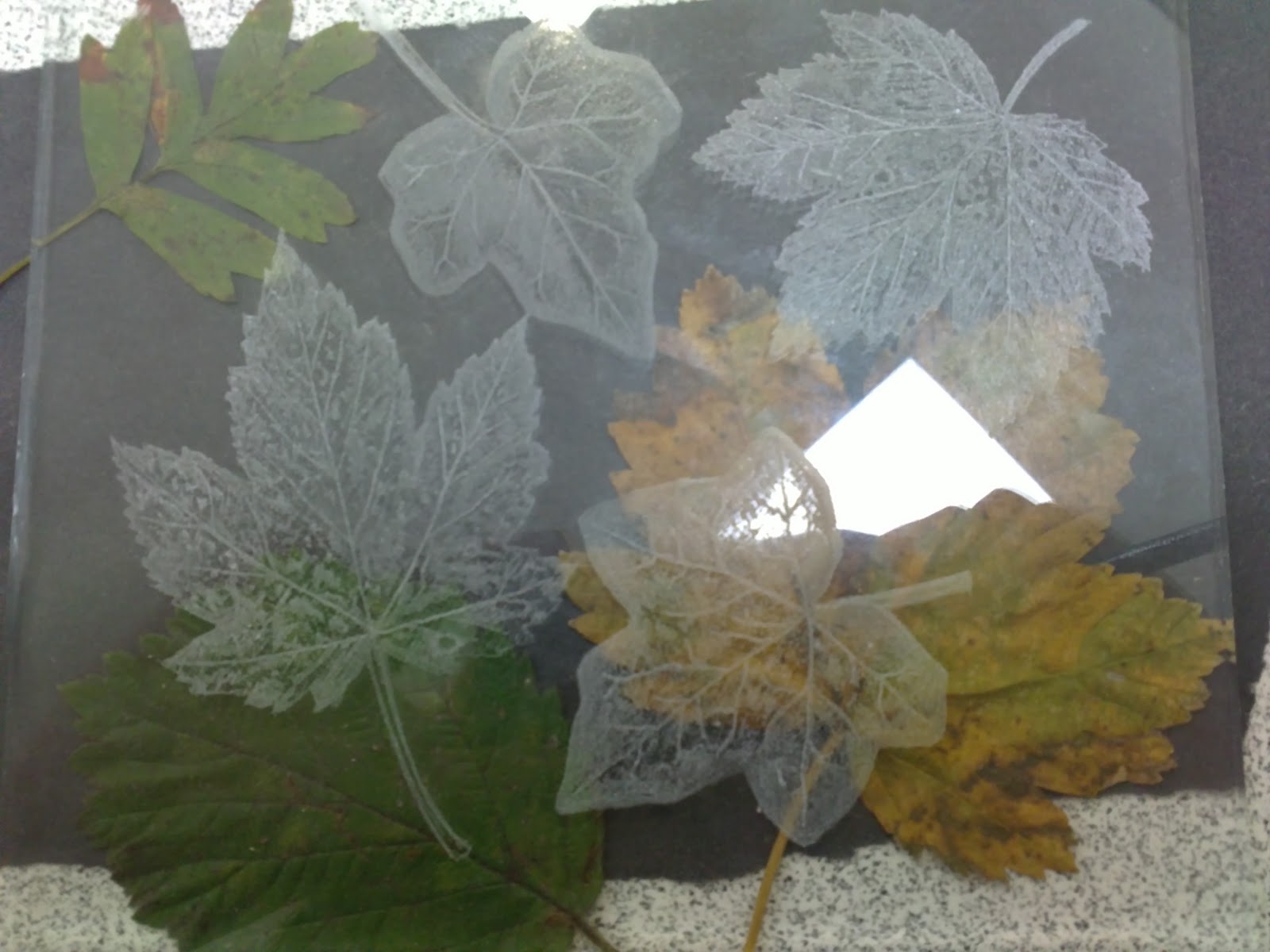 Amber's Antics Glass Etching & Resin