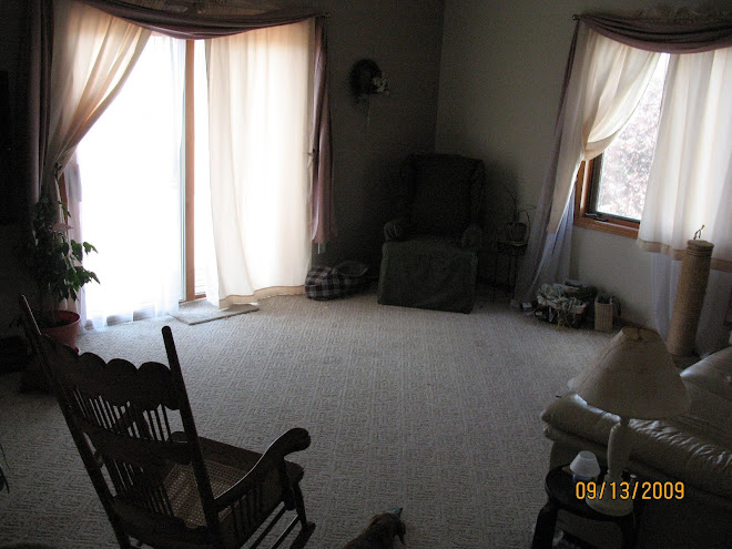 STAGED (pic 2 Before)