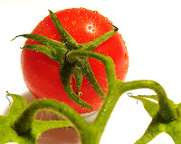 Tomato Tomato