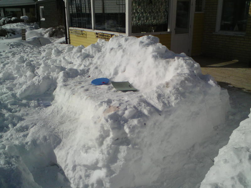 [image-upload-75-783394.jpg]