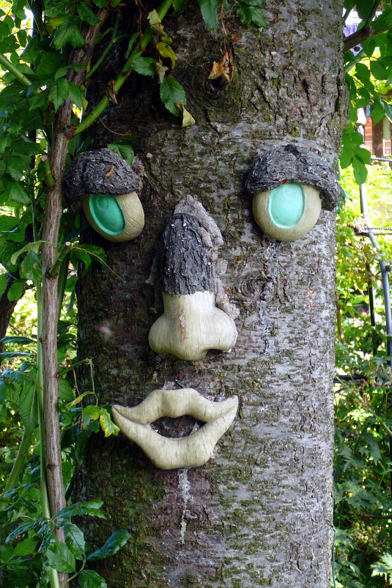 [tree-face-7c1.jpg]