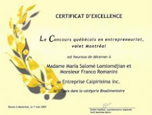 Diploma IV