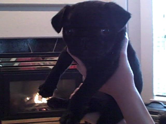 [Doedoe(3)+01m+18s.jpg]