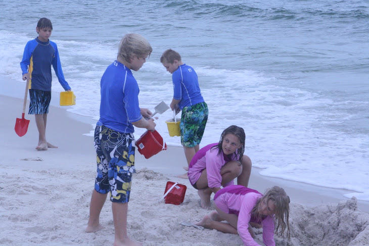 Gulf Shores, AL  \