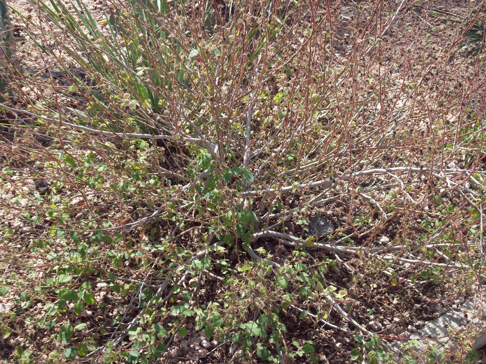 [6-5.JPG]