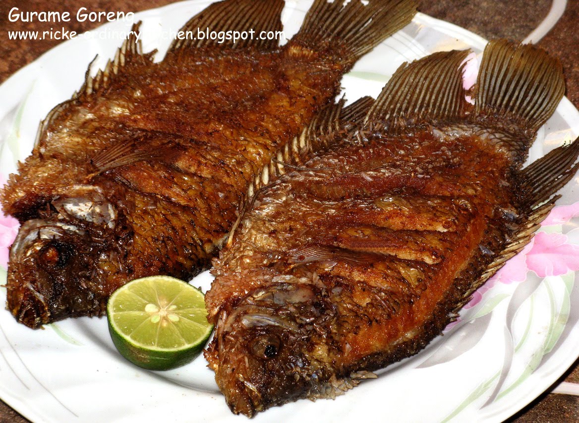 Just My Ordinary Kitchen&hellip; GURAME GORENG