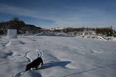 Ricerca su neve:esercitazione