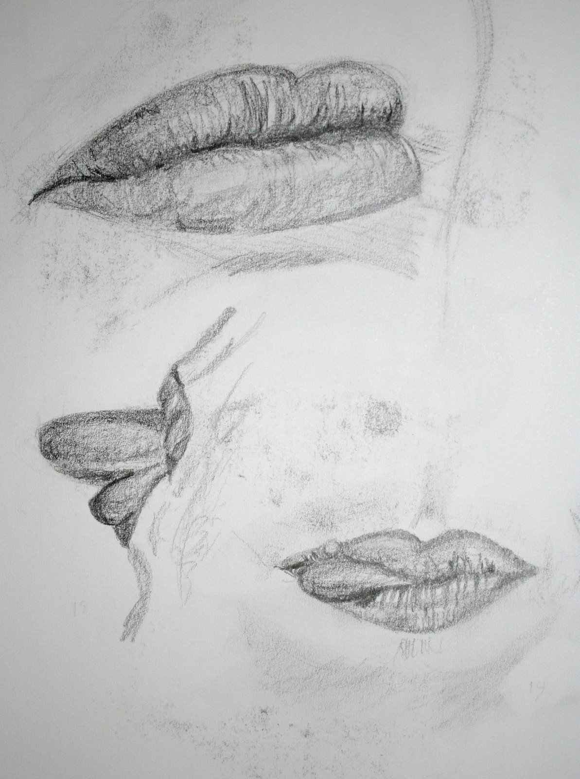 [2008-05-27+mouths+06.jpg]