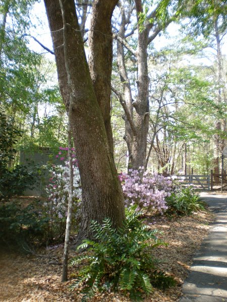 [2009-03-20_spring3.jpg]