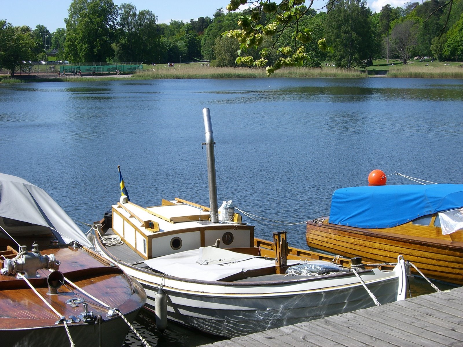 [CIMG5206.JPG]