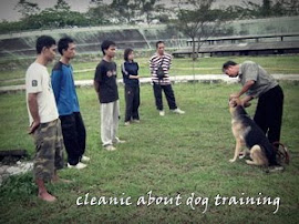 coaching cleanic