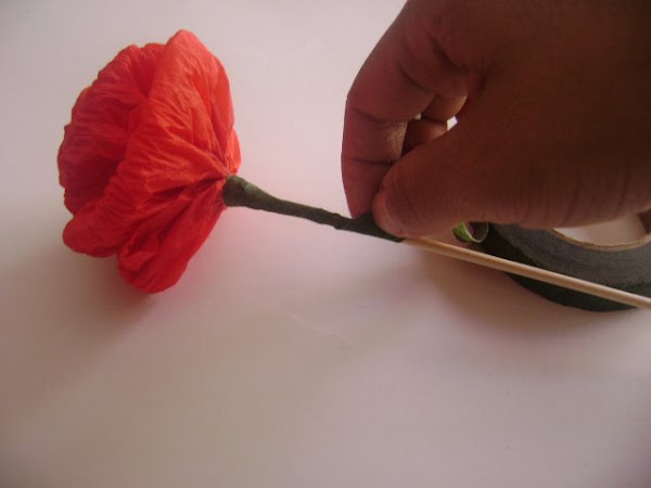 [DSC01683.JPG]