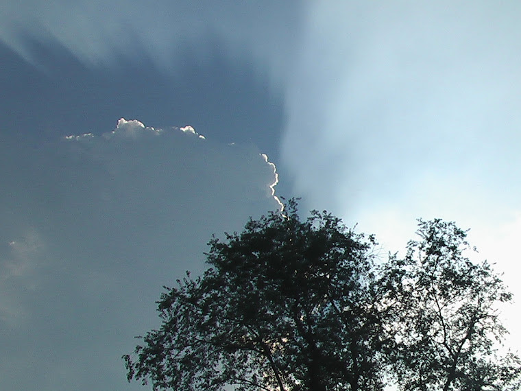 Sun Cloud Tree