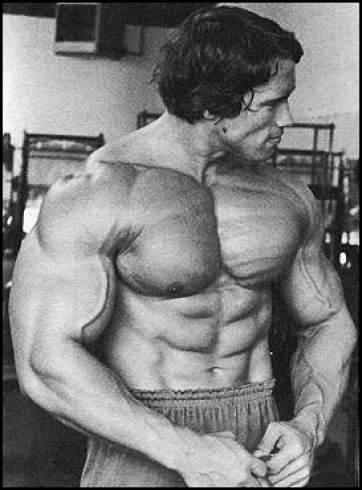 arnold schwarzenegger bodybuilding muscle