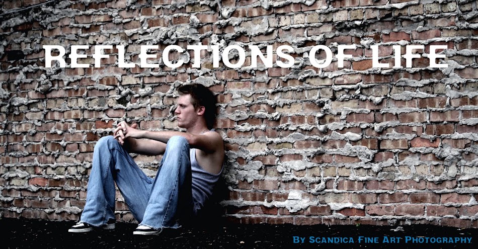 SCANDICA - REFLECTIONS OF LIFE