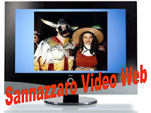 SANNAZZARO VIDEO WEB