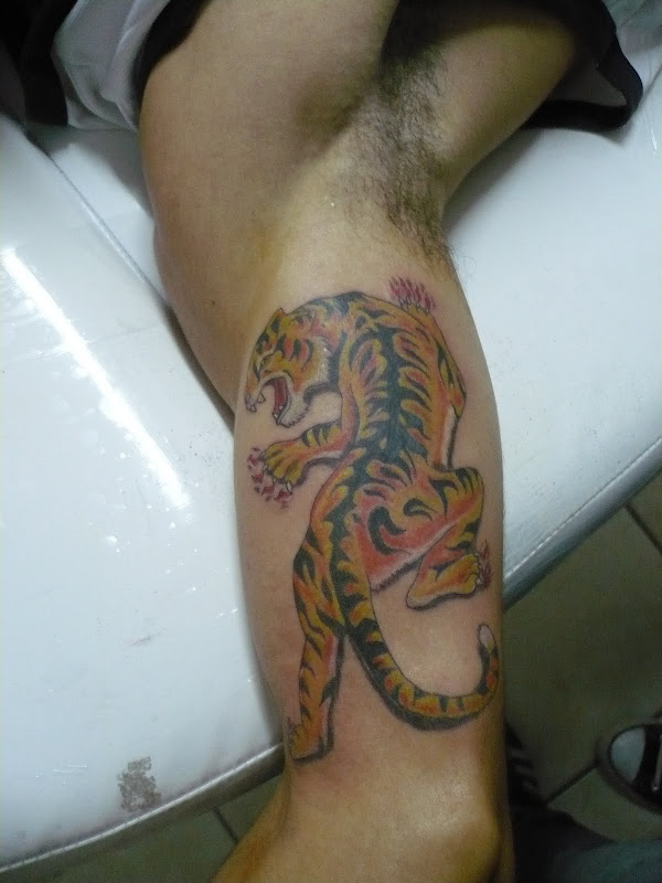 tigre title=