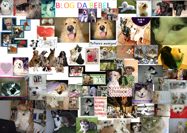 Blog da Bebel Au-Au