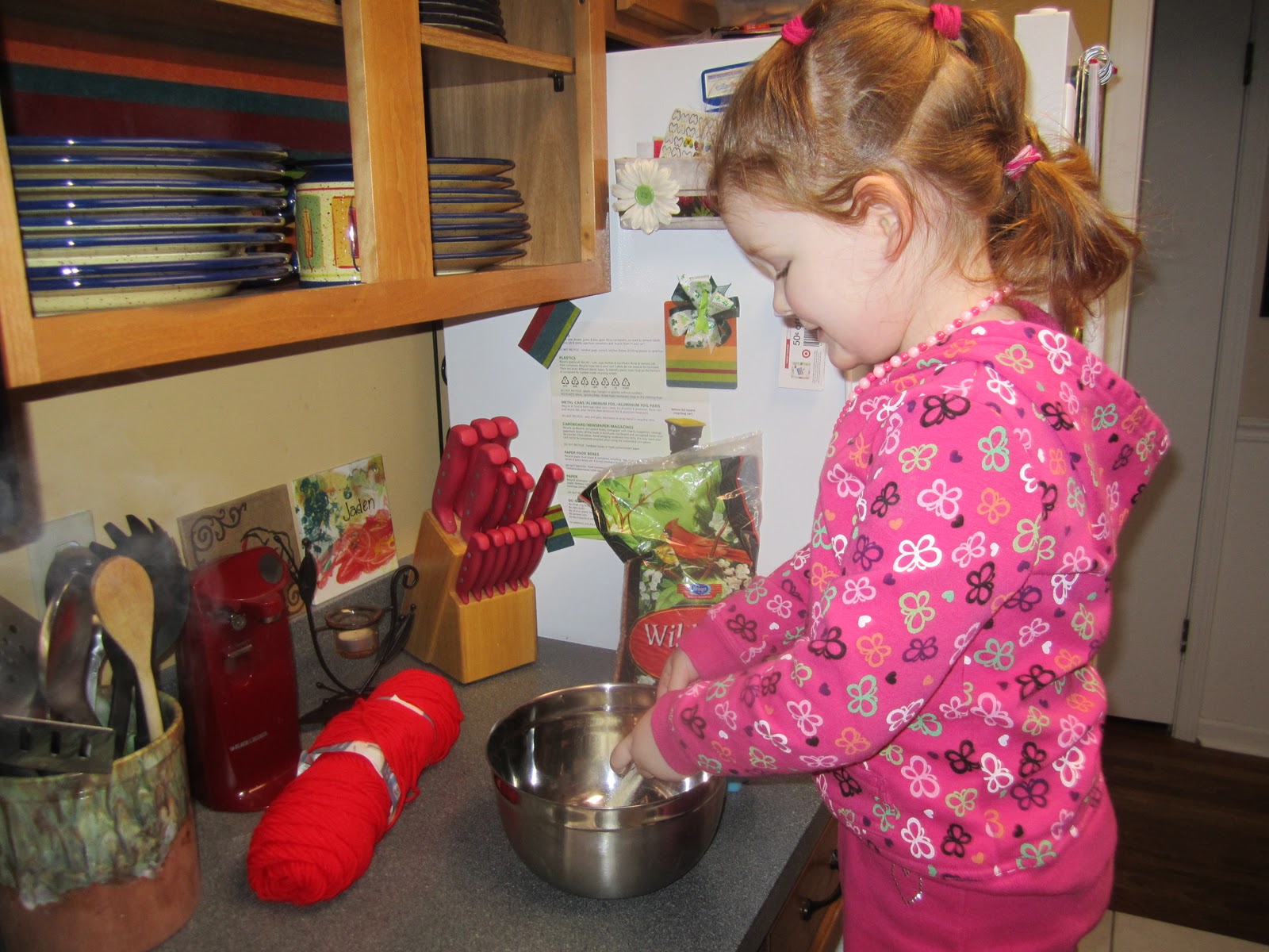 Living My Life On Purpose Bird Seed Cakes