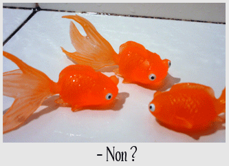 [fish.gif]