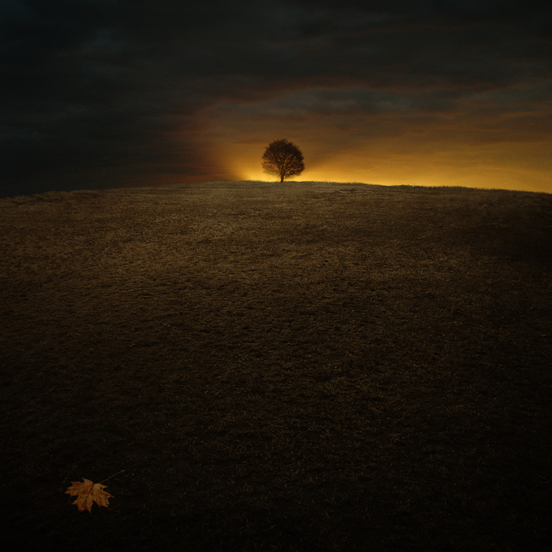 [All_Is_Now_by_Karezoid.jpg]