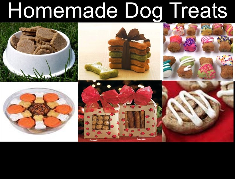 How To Make Dog Stuff How To Make Dog Stuff