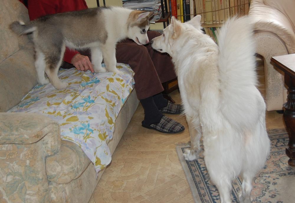 [meeting+friends+!.jpeg]