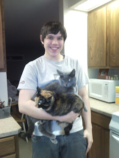 cutest cat