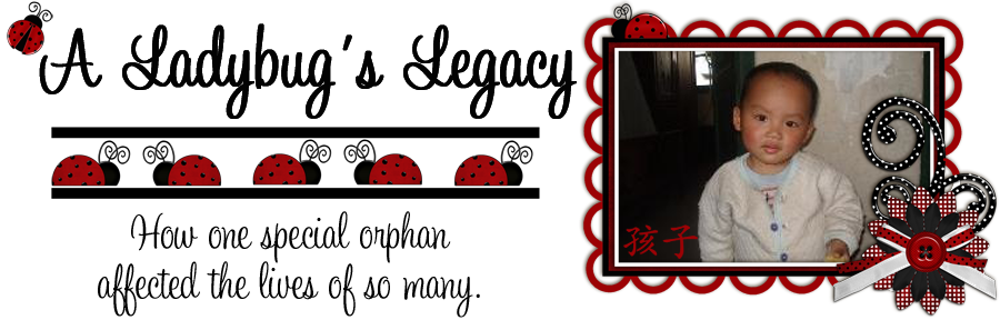 A ladybugs legacy