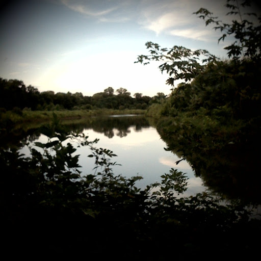 The Hidden Pond