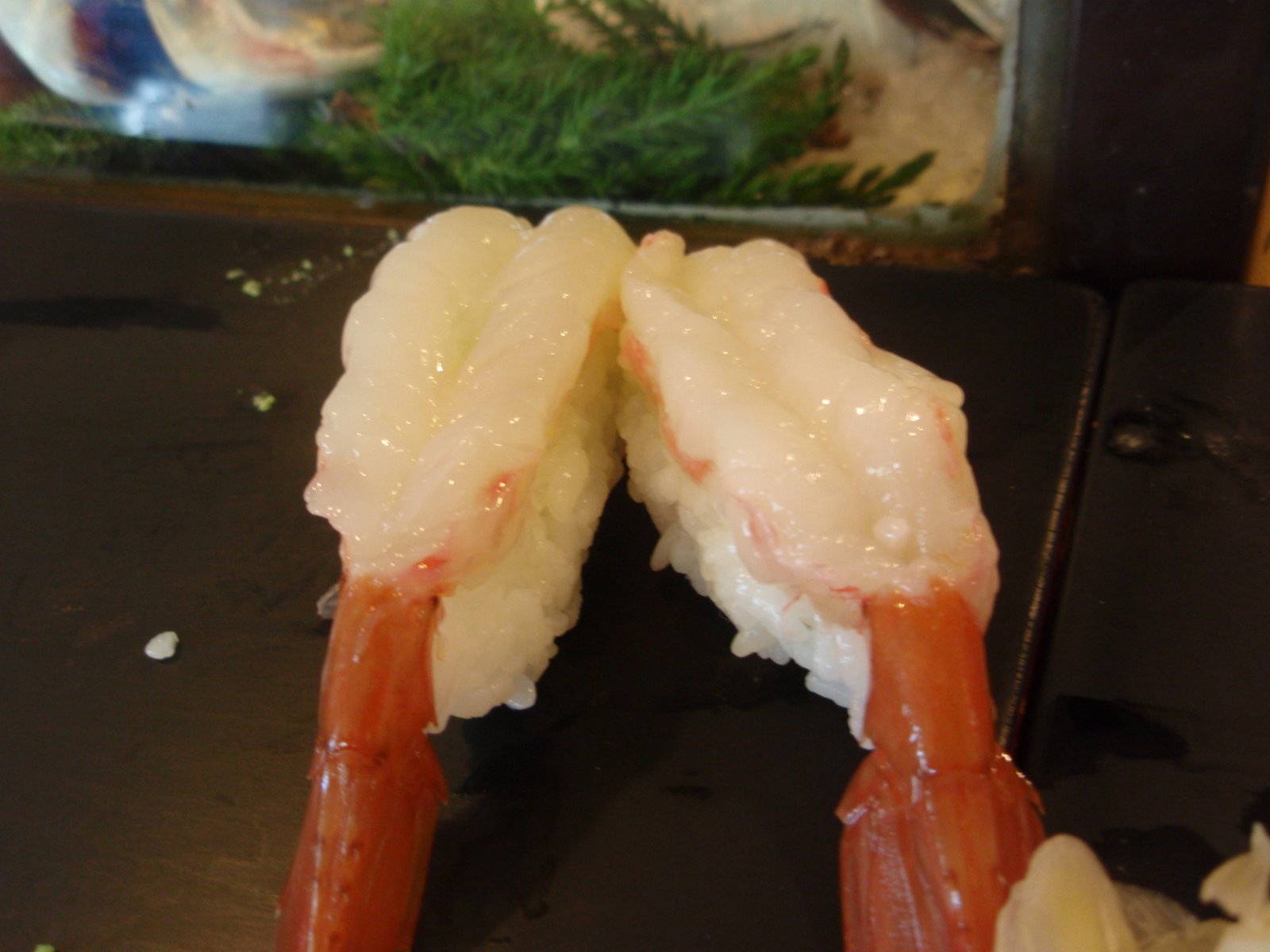 [P7140102.JPG]