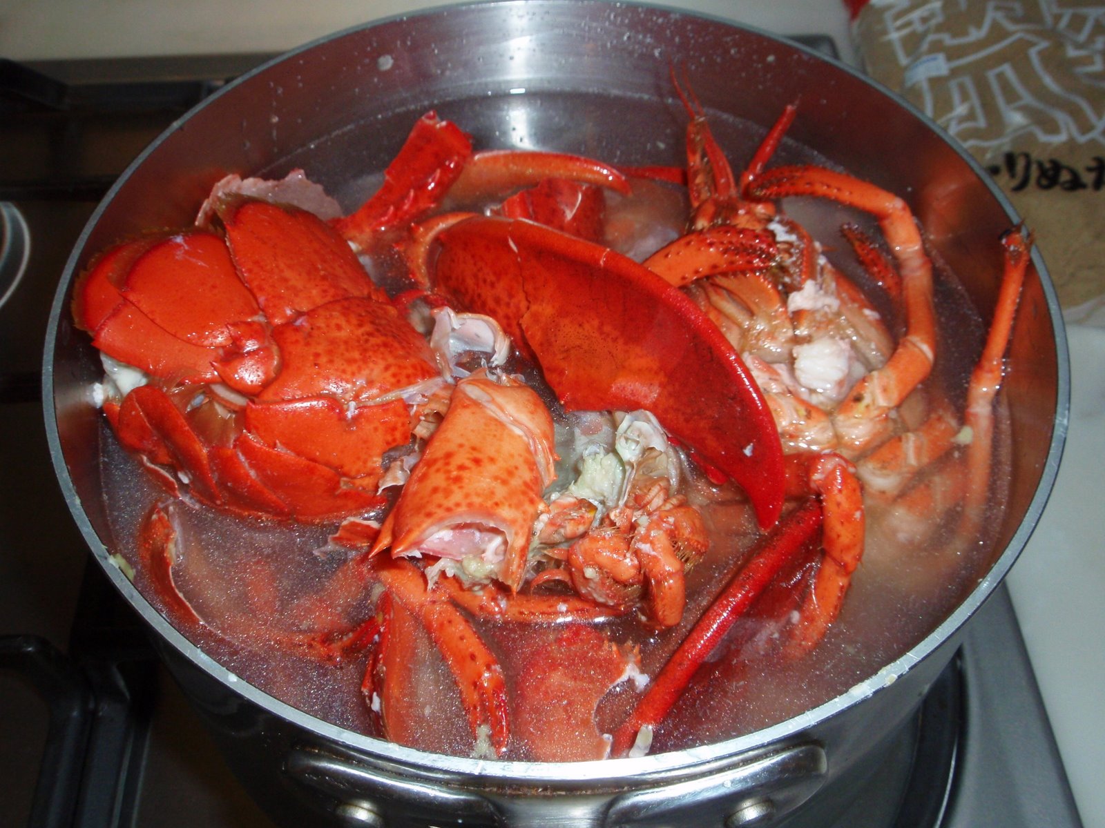 [P9210236.JPG]