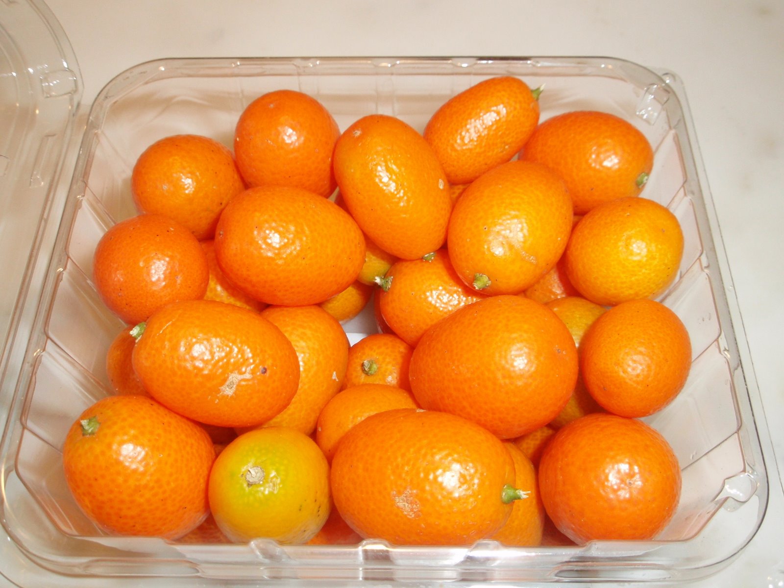 [P3290370.JPG]