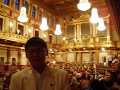 The Golden Concert Hall in Vienna