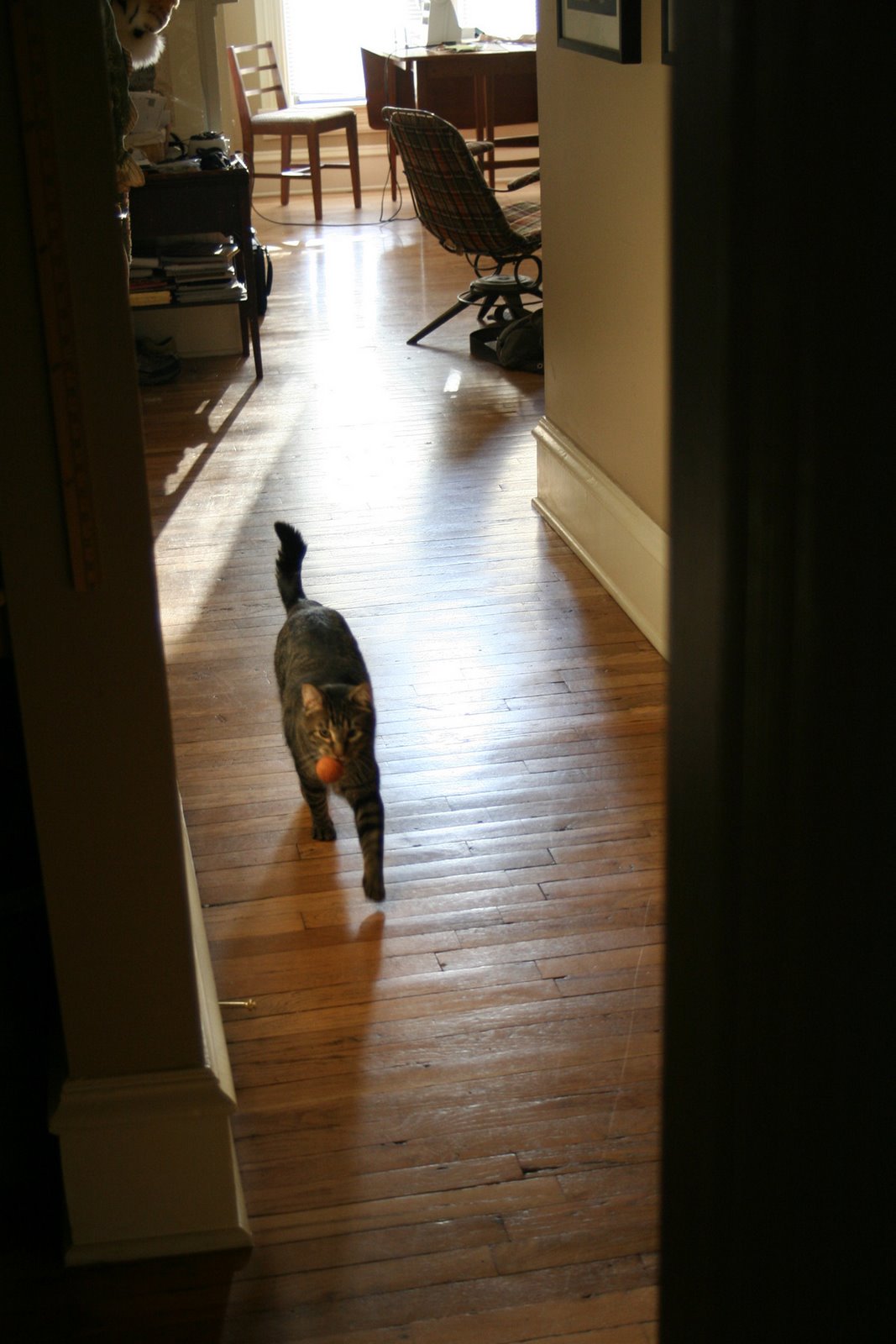 [baxterfetch4.jpg]