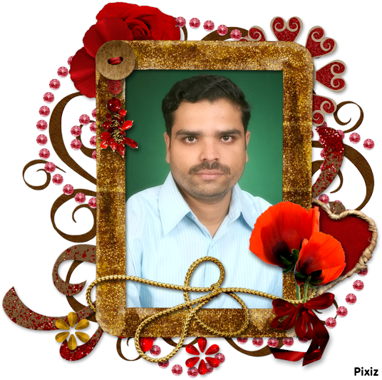 Funny Wallpaper Free Picturesf Funny Photo