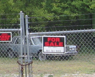 call now! call now!