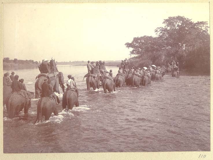 Then And Now Hunting Tigers Using Elephants During