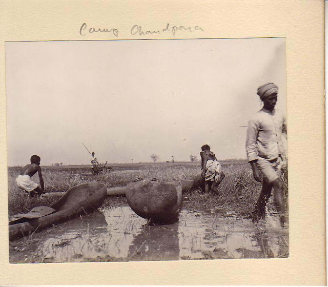 Indian+Agriculture+Vintage+Photographs+7