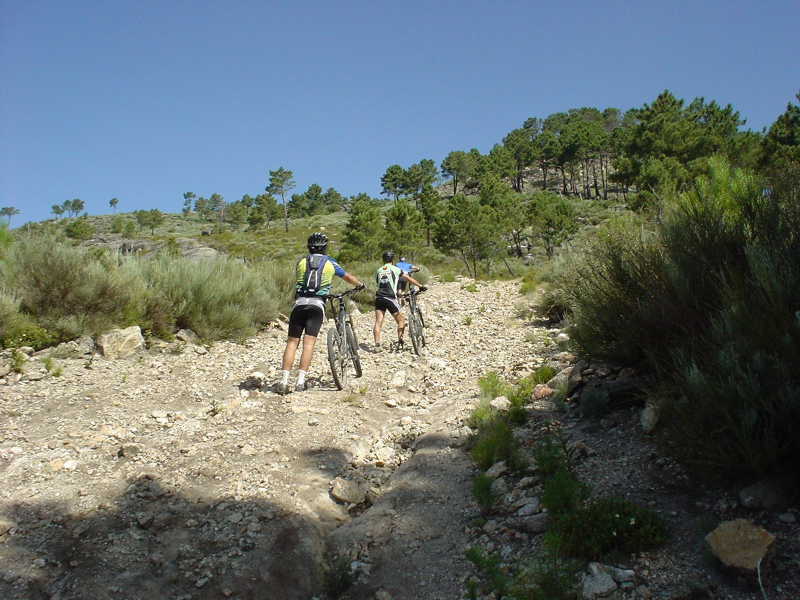 [DSC01149.JPG]