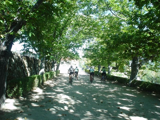 [DSC01428-784860.jpeg]