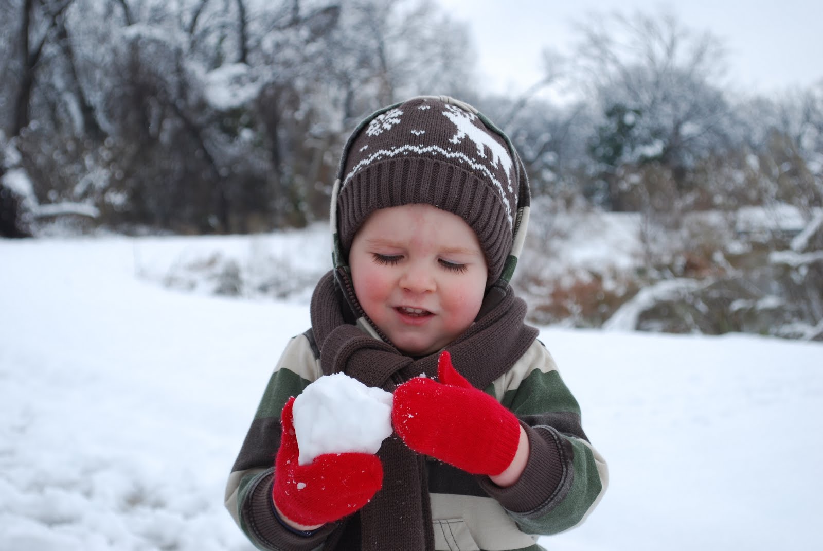 [Snowday_6.JPG]