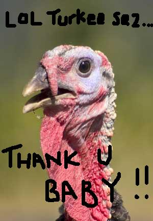 [turkey-lol-sez.jpg]