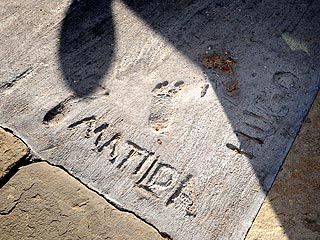 [heath_ledger_memorial.jpg]