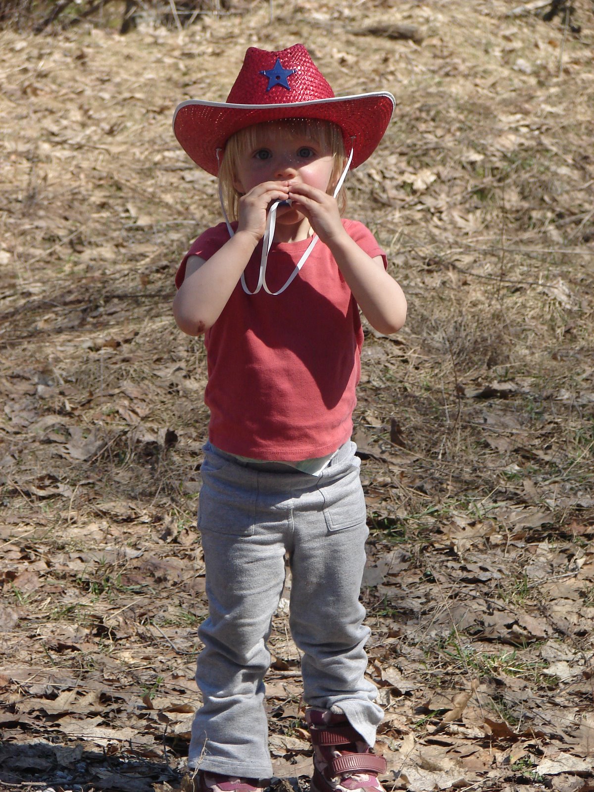 [cowboy+budge+028.JPG]