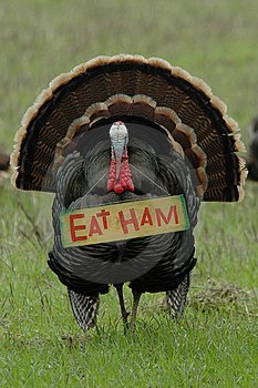 [turkeyham.jpg]