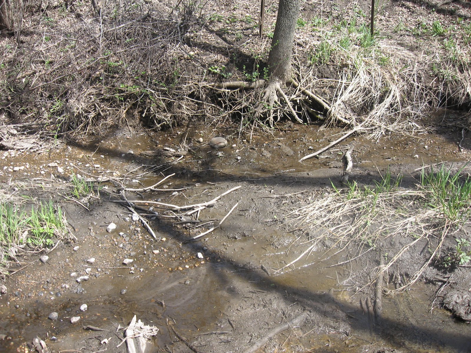 Pioneer Home Plum Creek and Walnut Grove