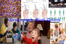 Birth Defects Collage