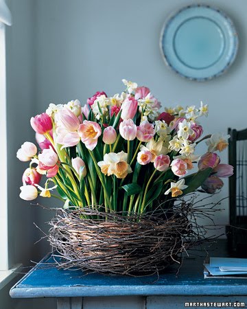[tulips-martha.jpg]