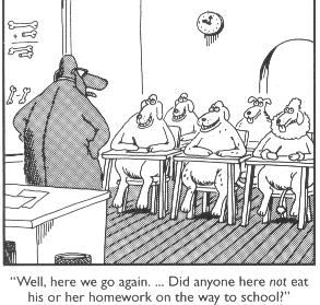 Meaning of life essay picture